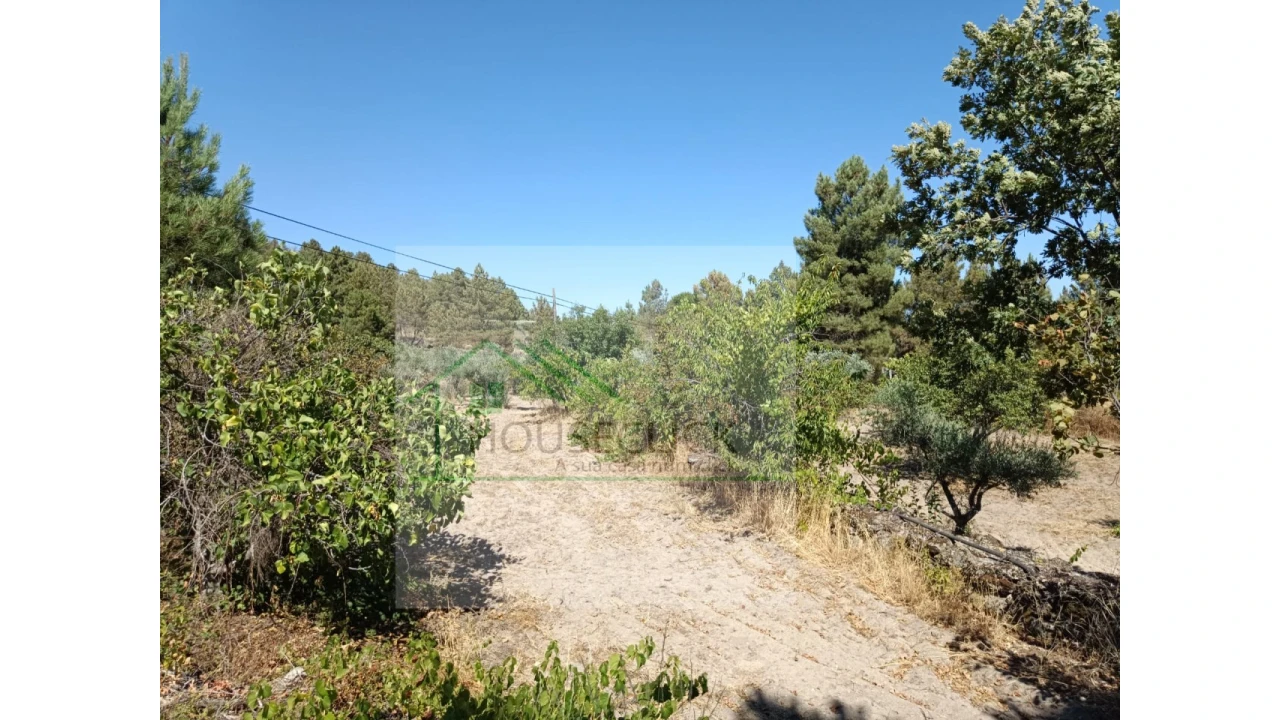 Terreno para Venda em Inguias Foto 6