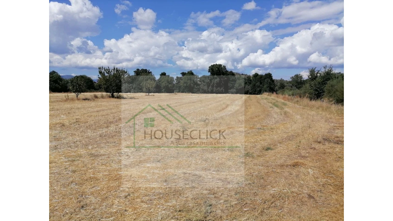 Terreno para Venda em Inguias Foto 4