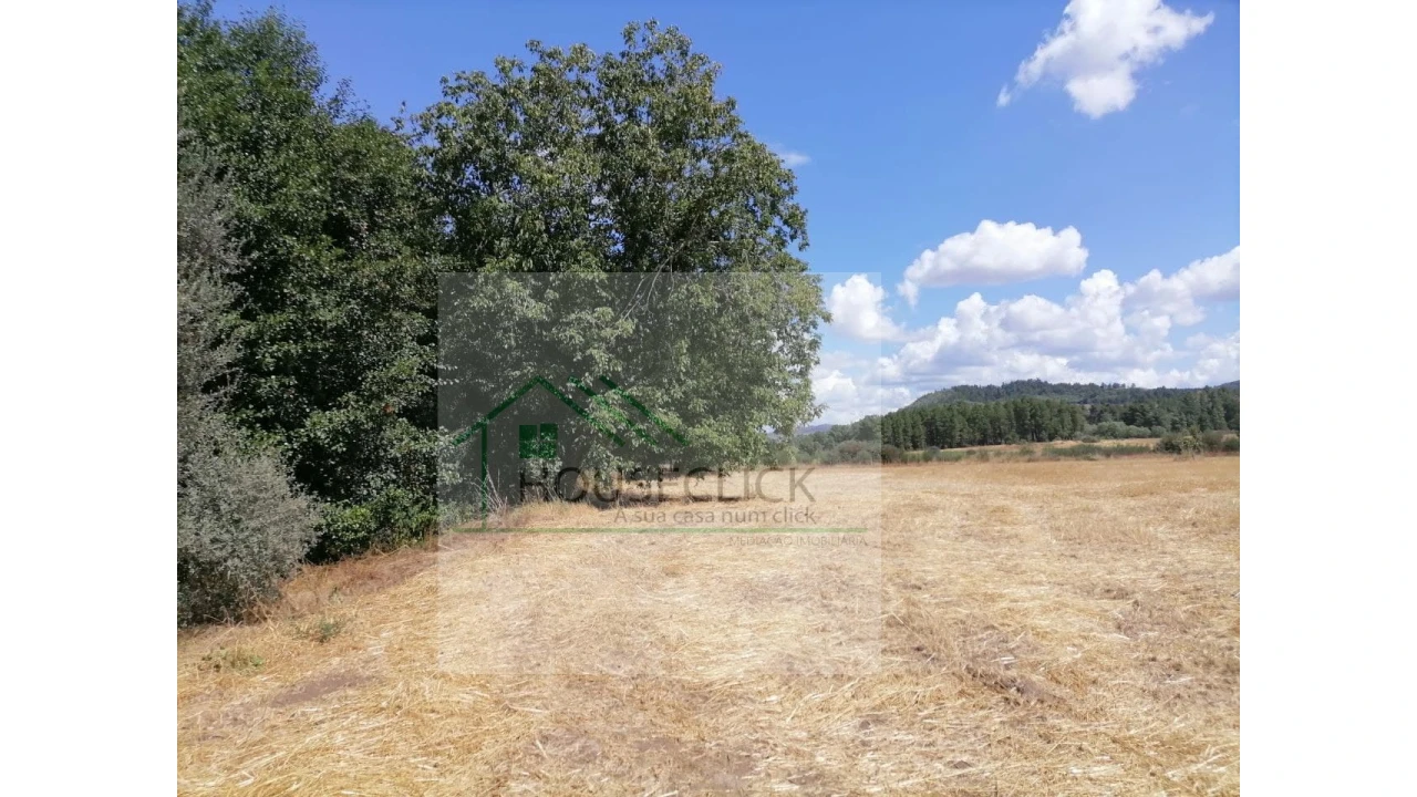 Terreno para Venda em Inguias Foto 10