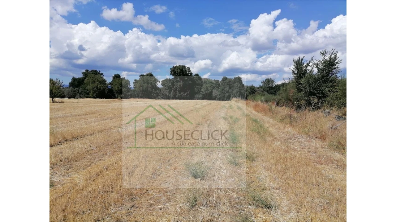 Terreno para Venda em Inguias Foto 19