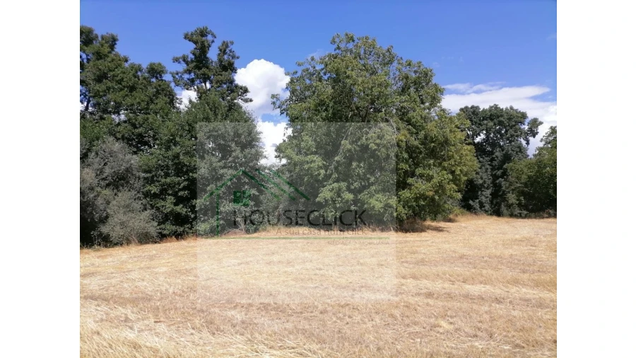 Terreno para Venda em Inguias Foto 8