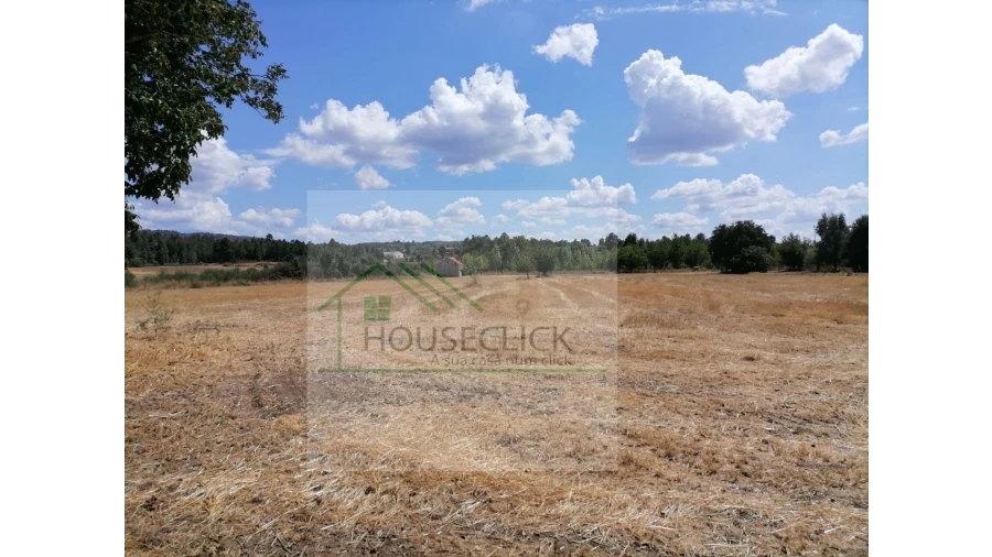 Terreno para Venda em Inguias Foto 11