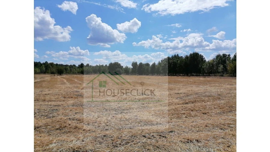 Terreno para Venda em Inguias Foto 12