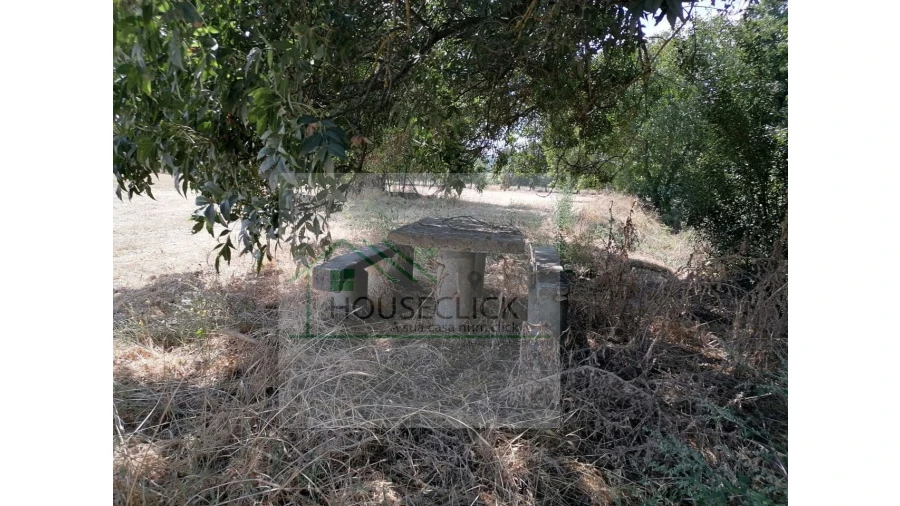 Terreno para Venda em Inguias Foto 15