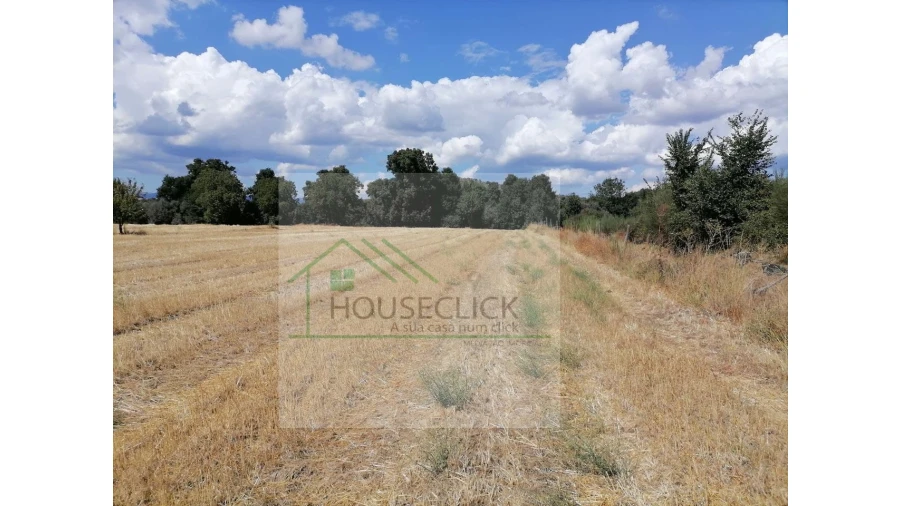 Terreno para Venda em Inguias Foto 19