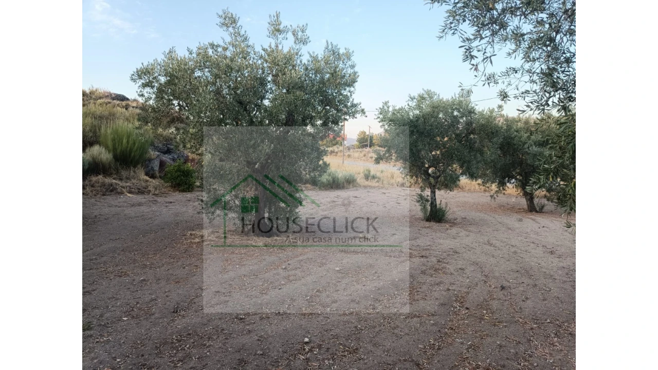 Moradia para Venda em Sortelha Foto 7