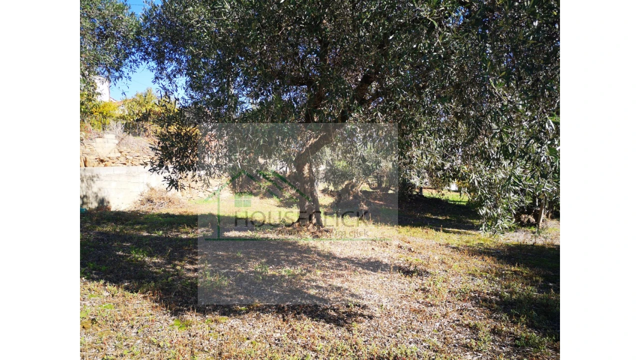 Terreno para Venda em Três Povos Foto 12