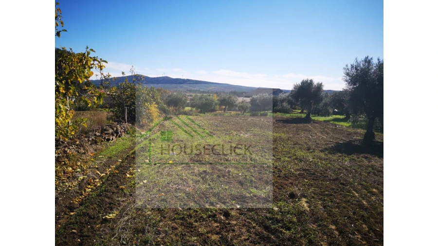 Terreno para Venda em Três Povos Foto 4