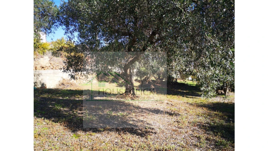 Terreno para Venda em Três Povos Foto 12