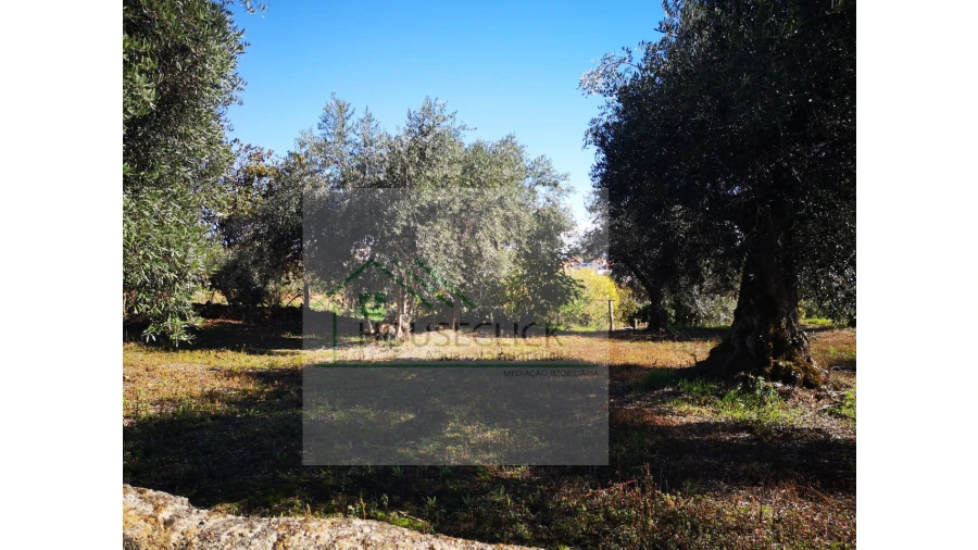 Terreno para Venda em Três Povos Foto 14