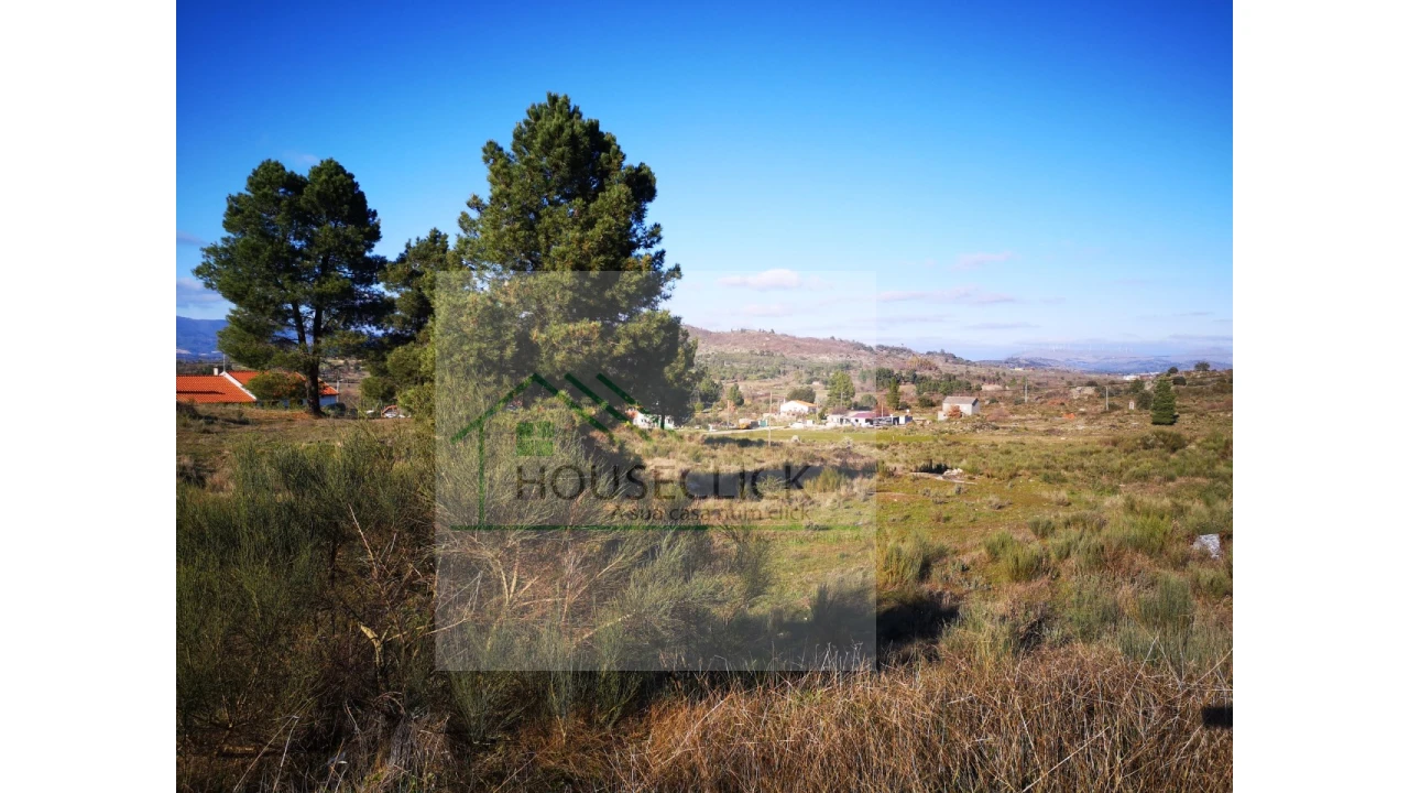 Terreno para Venda em Caria Foto 3