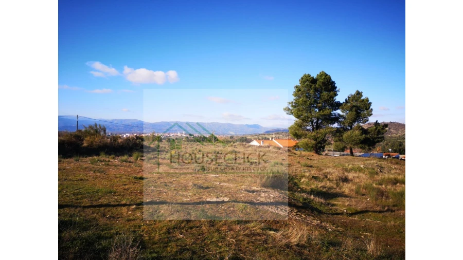 Terreno para Venda em Caria Foto 2