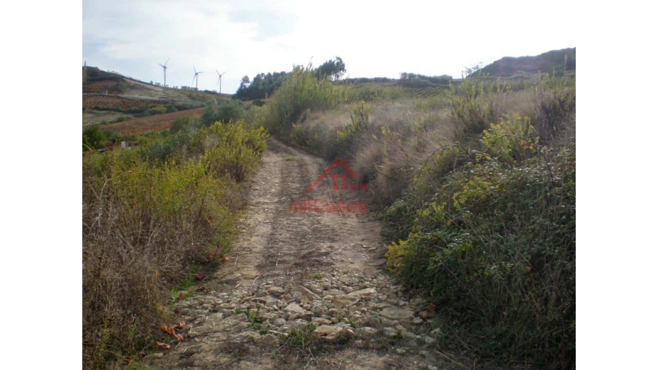 Terreno para Venda em Dois Portos e Runa Foto 33