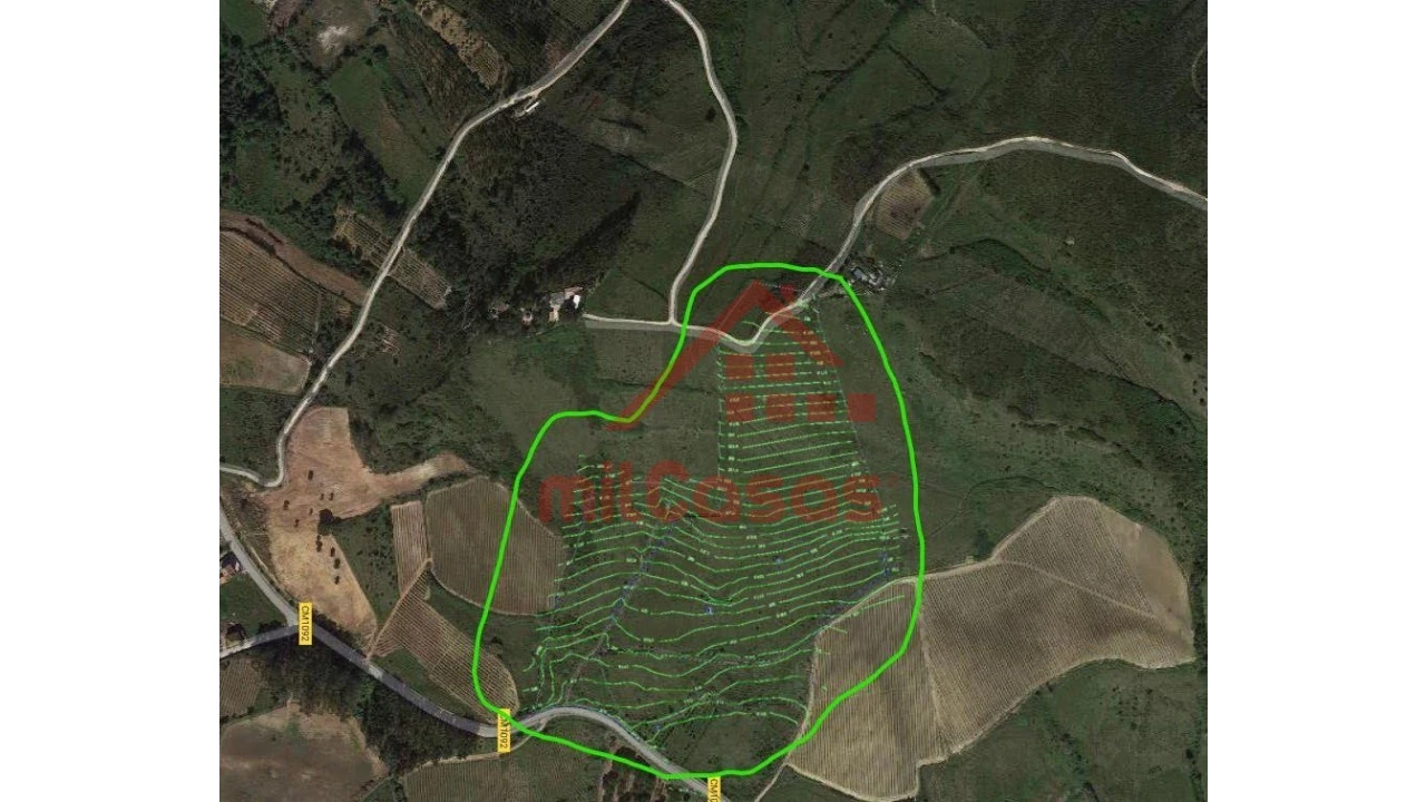 Terreno para Venda em Dois Portos e Runa Foto 10