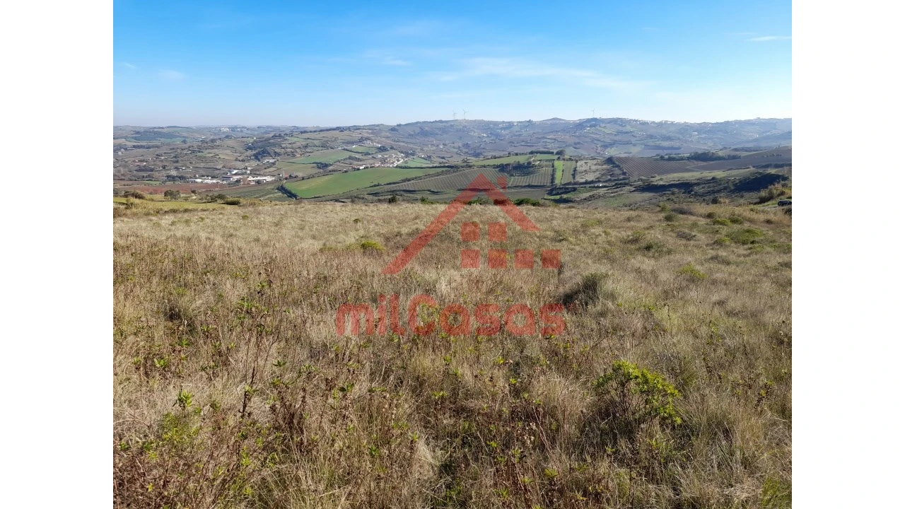 Terreno para Venda em Dois Portos e Runa Foto 1