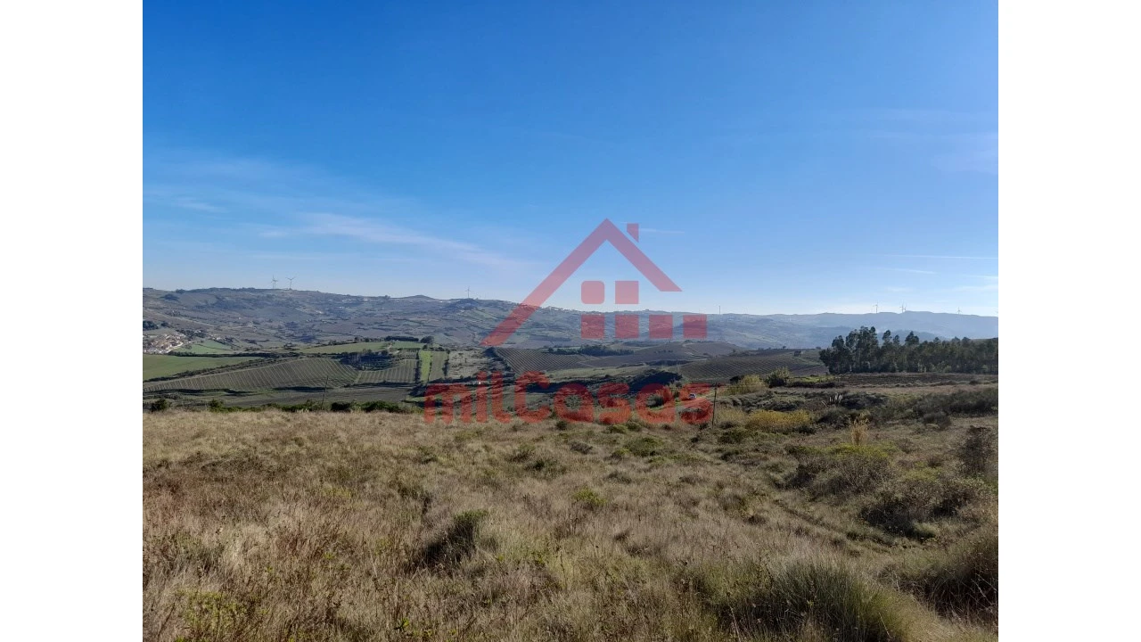 Terreno para Venda em Dois Portos e Runa Foto 2