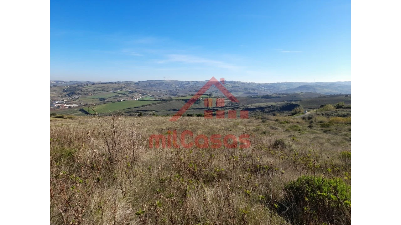 Terreno para Venda em Dois Portos e Runa Foto 13