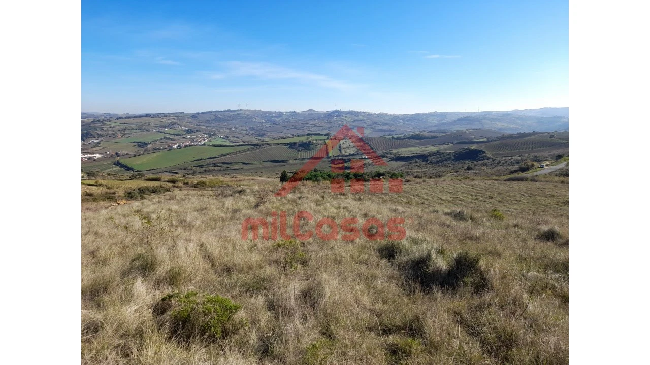 Terreno para Venda em Dois Portos e Runa Foto 14