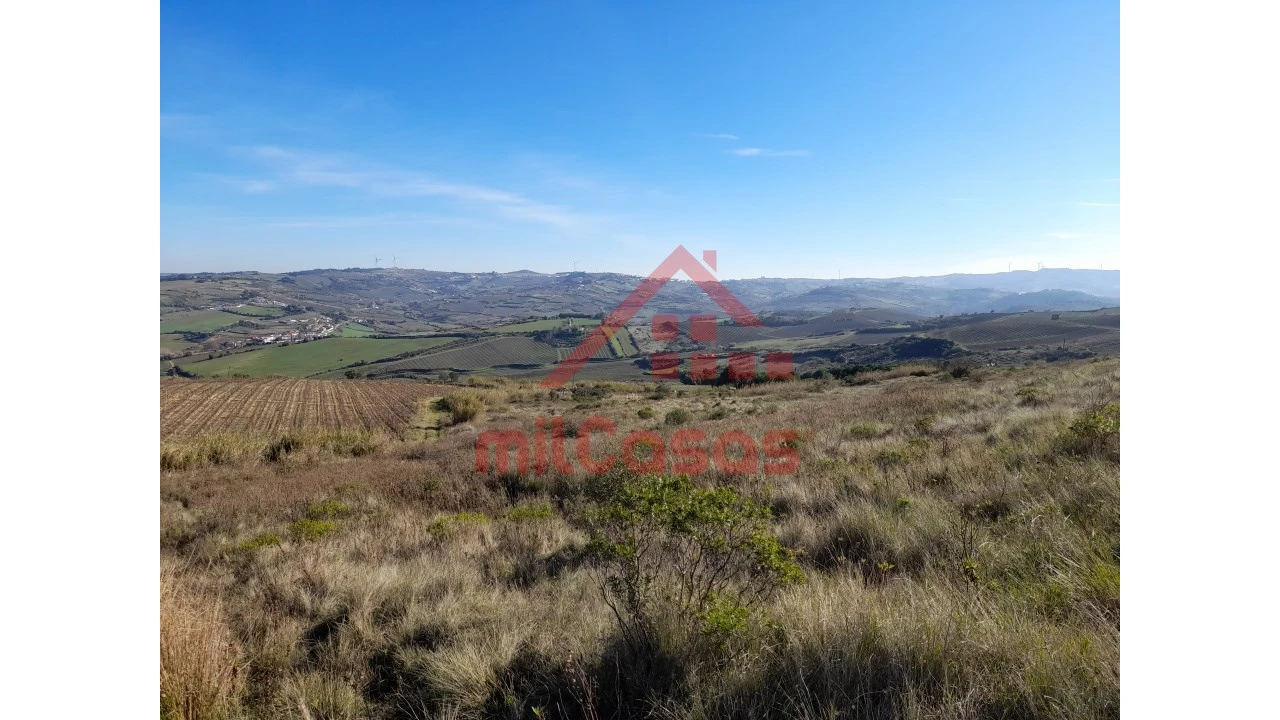Terreno para Venda em Dois Portos e Runa Foto 18