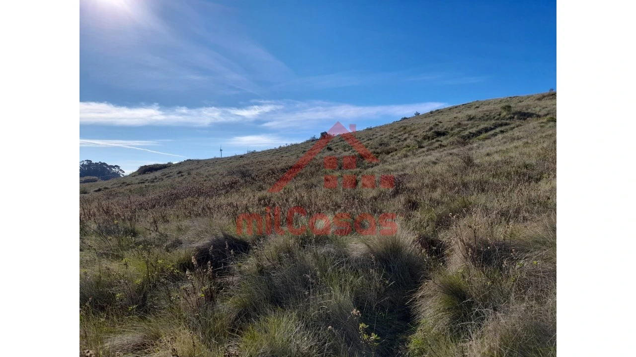 Terreno para Venda em Dois Portos e Runa Foto 22