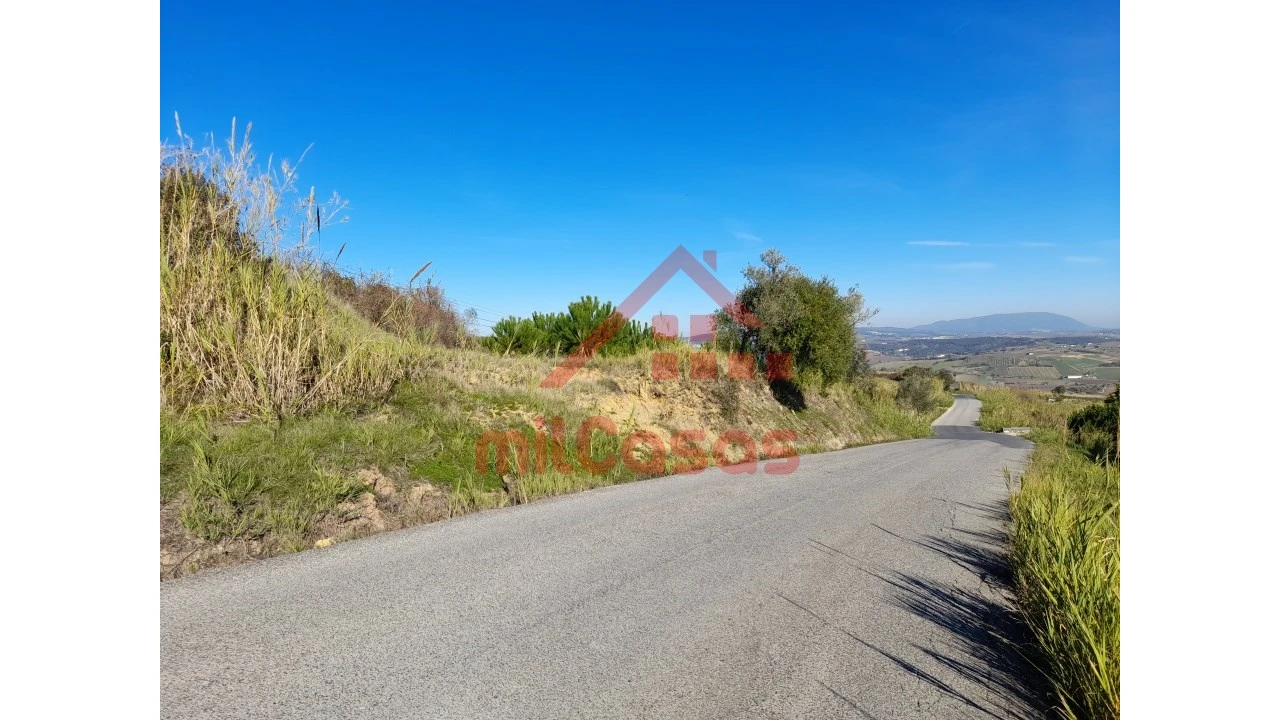 Terreno para Venda em Dois Portos e Runa Foto 27