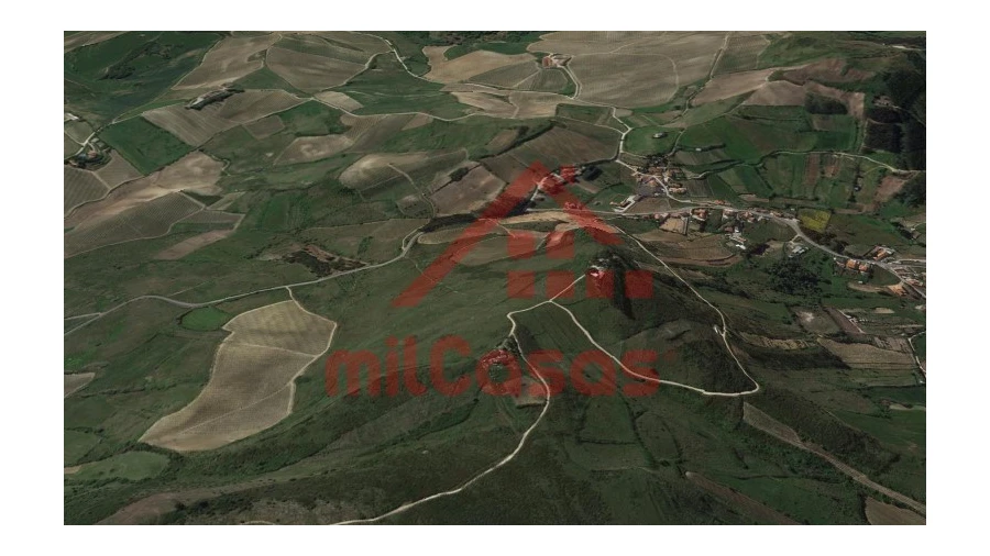 Terreno para Venda em Dois Portos e Runa Foto 6