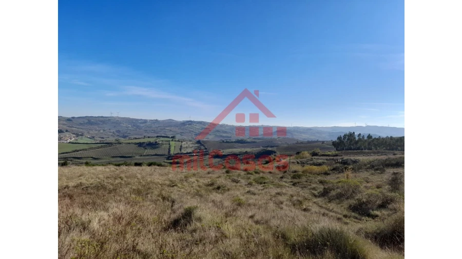 Terreno para Venda em Dois Portos e Runa Foto 2