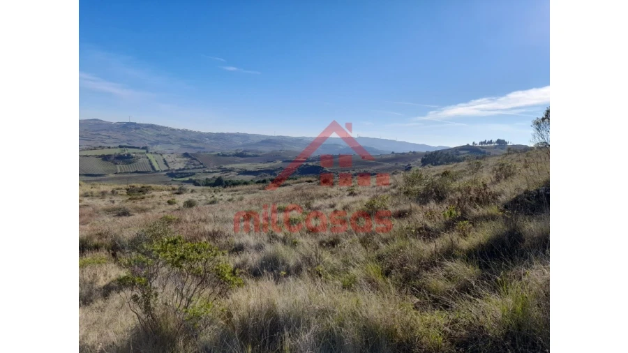 Terreno para Venda em Dois Portos e Runa Foto 4