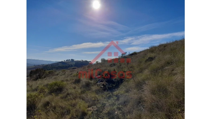 Terreno para Venda em Dois Portos e Runa Foto 5