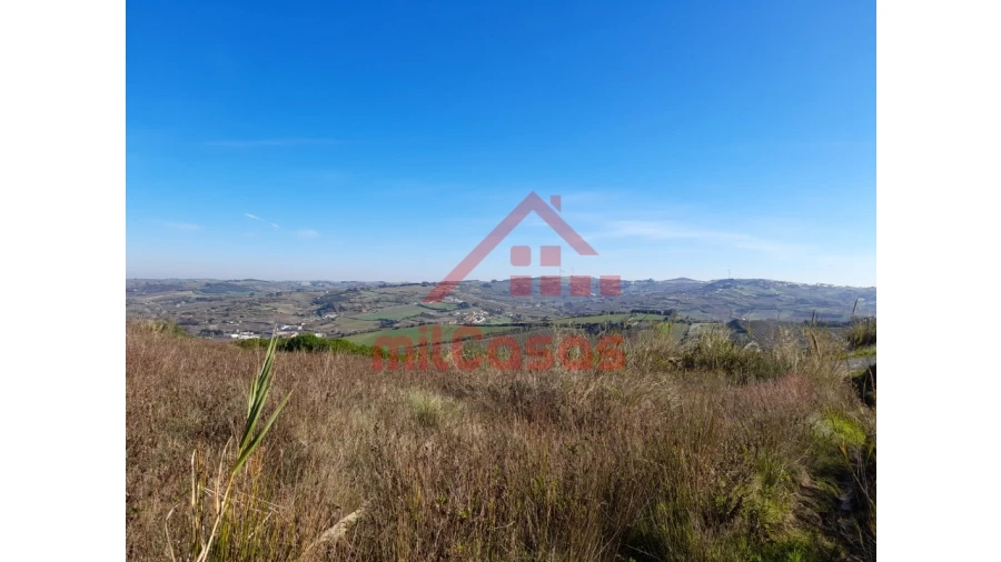 Terreno para Venda em Dois Portos e Runa Foto 12