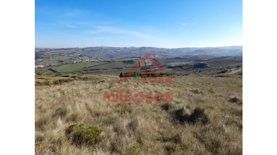 Terreno para Venda em Dois Portos e Runa Foto 14