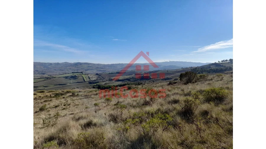 Terreno para Venda em Dois Portos e Runa Foto 15