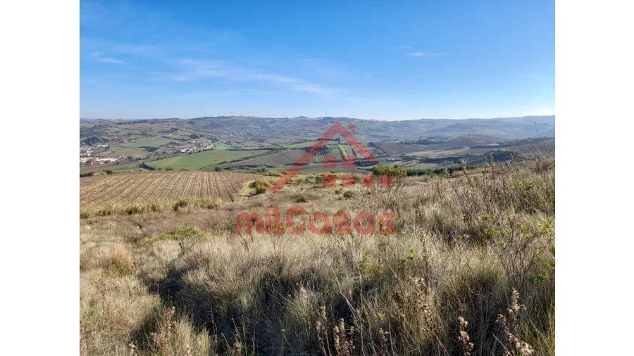 Terreno para Venda em Dois Portos e Runa Foto 17