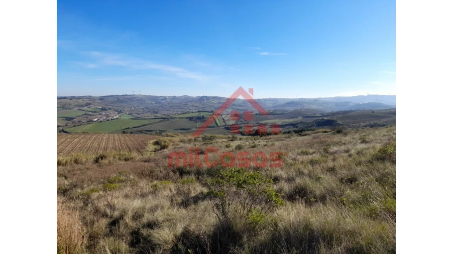 Terreno para Venda em Dois Portos e Runa Foto 18