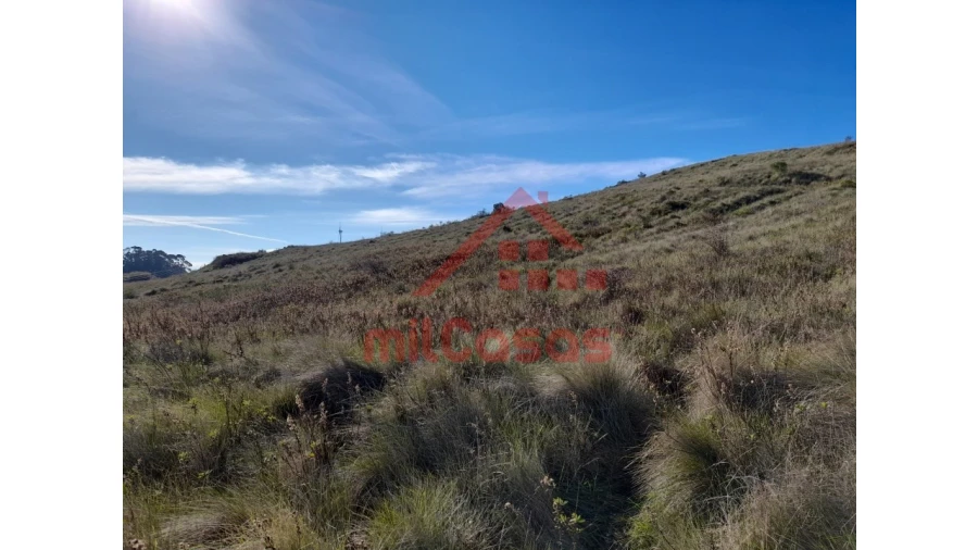 Terreno para Venda em Dois Portos e Runa Foto 22