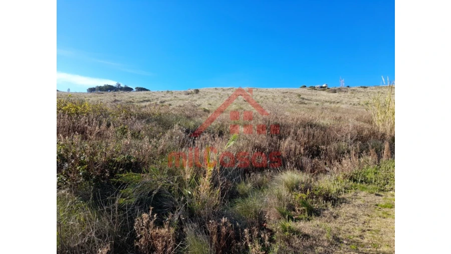 Terreno para Venda em Dois Portos e Runa Foto 23