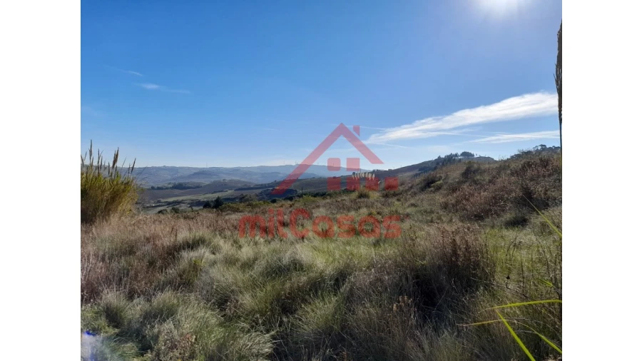 Terreno para Venda em Dois Portos e Runa Foto 24