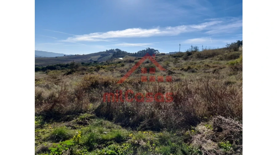 Terreno para Venda em Dois Portos e Runa Foto 25