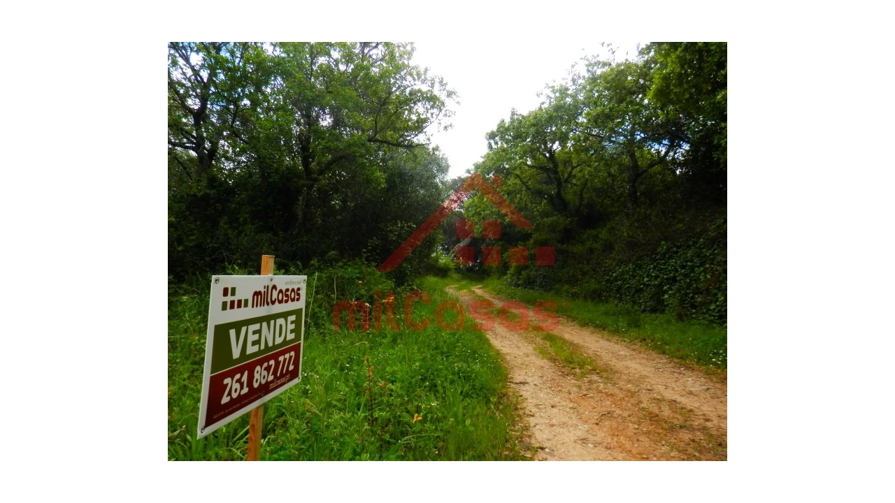 Terreno Agricola ou Rústico para Venda em Igreja Nova e Cheleiros Foto 3