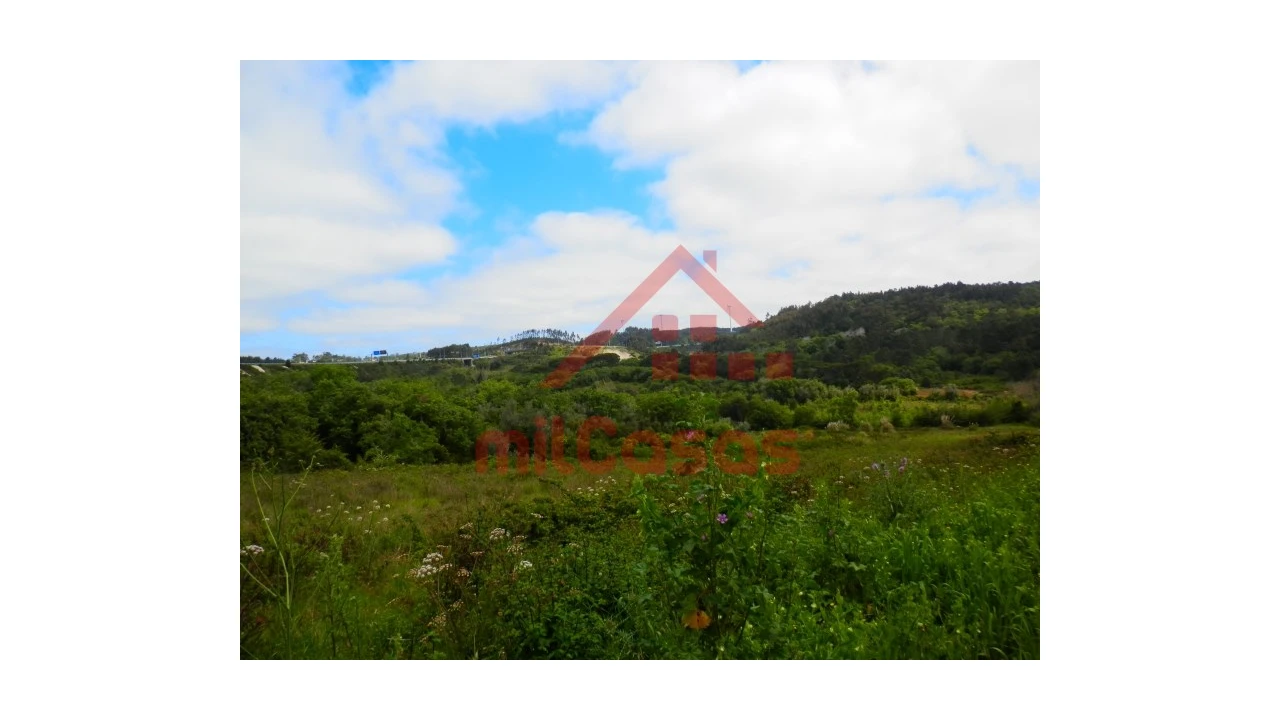 Terreno Agricola ou Rústico para Venda em Igreja Nova e Cheleiros Foto 2