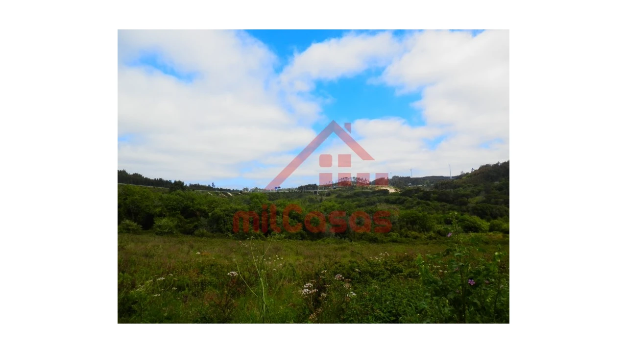 Terreno Agricola ou Rústico para Venda em Igreja Nova e Cheleiros Foto 5