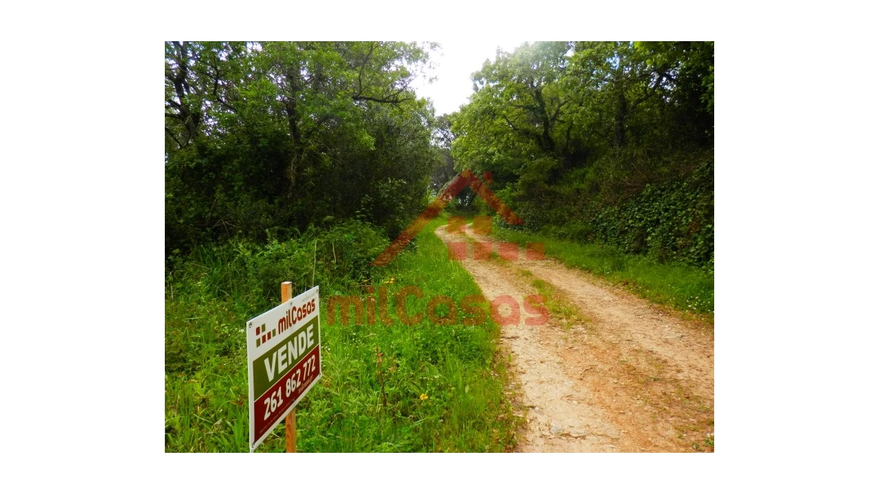 Terreno Agricola ou Rústico para Venda em Igreja Nova e Cheleiros Foto 7
