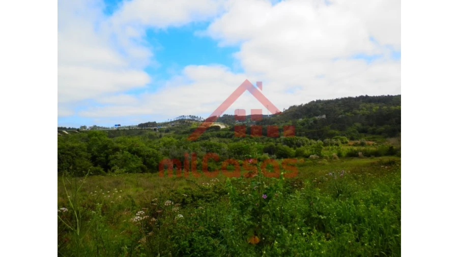Terreno Agricola ou Rústico para Venda em Igreja Nova e Cheleiros Foto 2