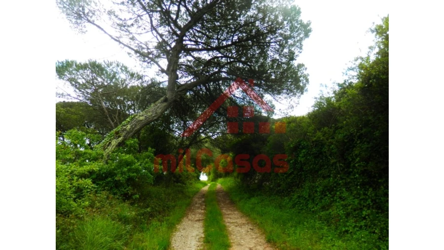 Terreno Agricola ou Rústico para Venda em Igreja Nova e Cheleiros