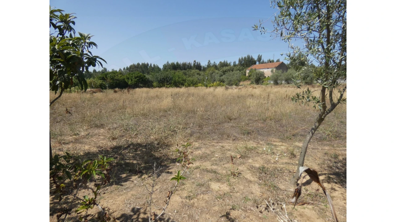 Terreno Agricola ou Rústico para Venda em Casais e Alviobeira Foto 5