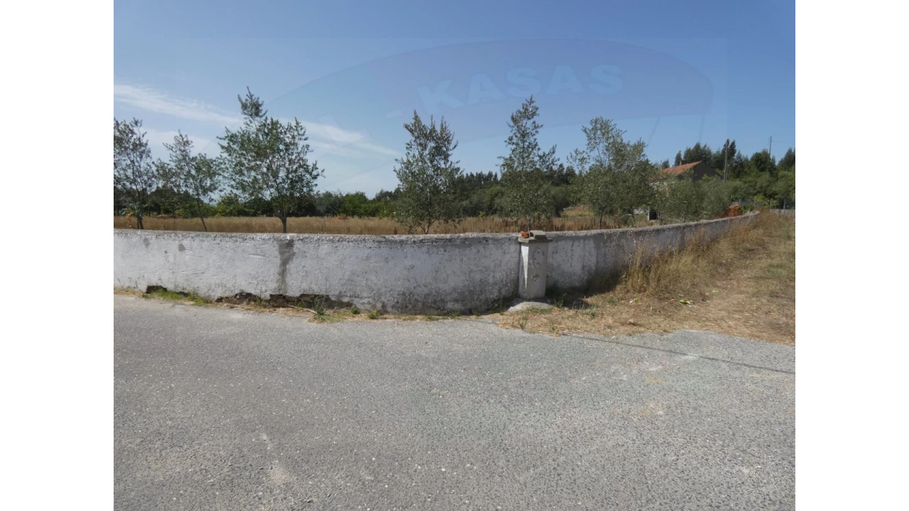 Terreno Agricola ou Rústico para Venda em Casais e Alviobeira Foto 6