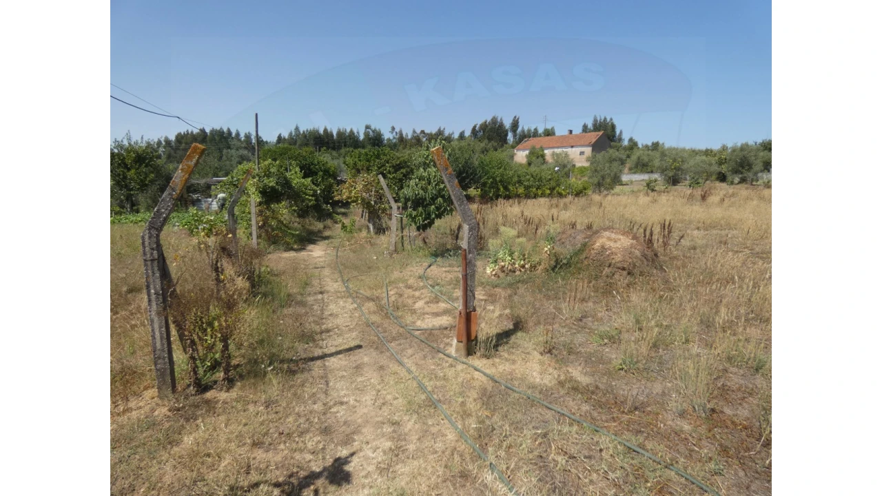 Terreno Agricola ou Rústico para Venda em Casais e Alviobeira Foto 8