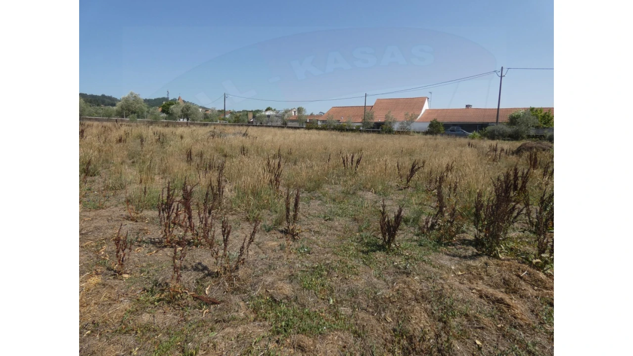 Terreno Agricola ou Rústico para Venda em Casais e Alviobeira Foto 9