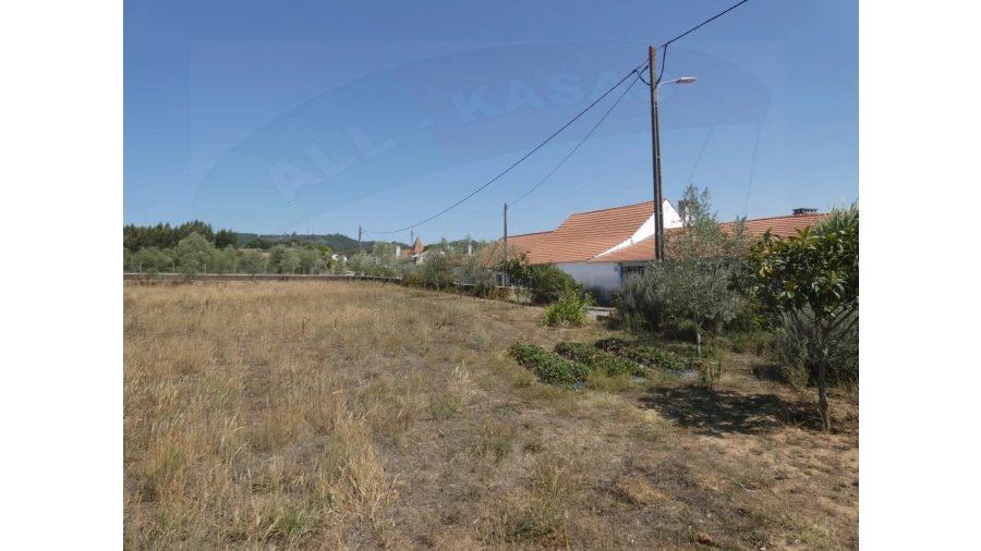 Terreno Agricola ou Rústico para Venda em Casais e Alviobeira Foto 2