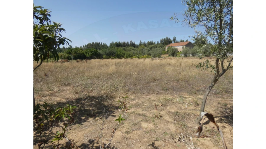 Terreno Agricola ou Rústico para Venda em Casais e Alviobeira Foto 5